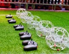 独领风骚,双色球,期龙头号码,江苏体彩,江苏体彩网,江苏体彩网官网,体育彩票,体彩大乐透,竞彩足球,体彩公益