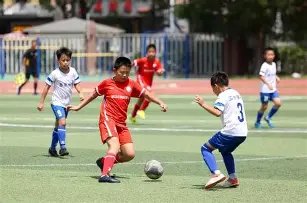 独家揭秘,期大乐透神,预测,江苏体彩,江苏体彩网,江苏体彩网官网,体育彩票,体彩大乐透,竞彩足球,体彩公益