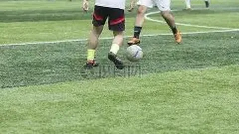 【五行奥秘解锁】默克双色球12红2蓝精准预测，双色球中奖秘籍等你揭秘！